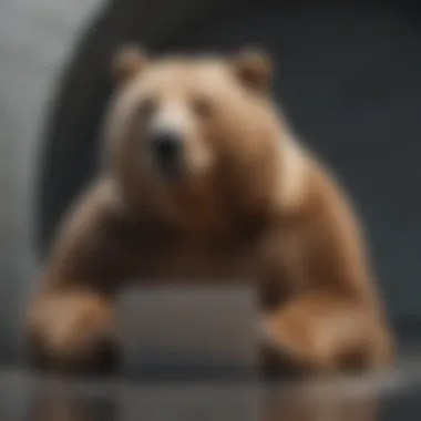 Security measures provided by TunnelBear VPN